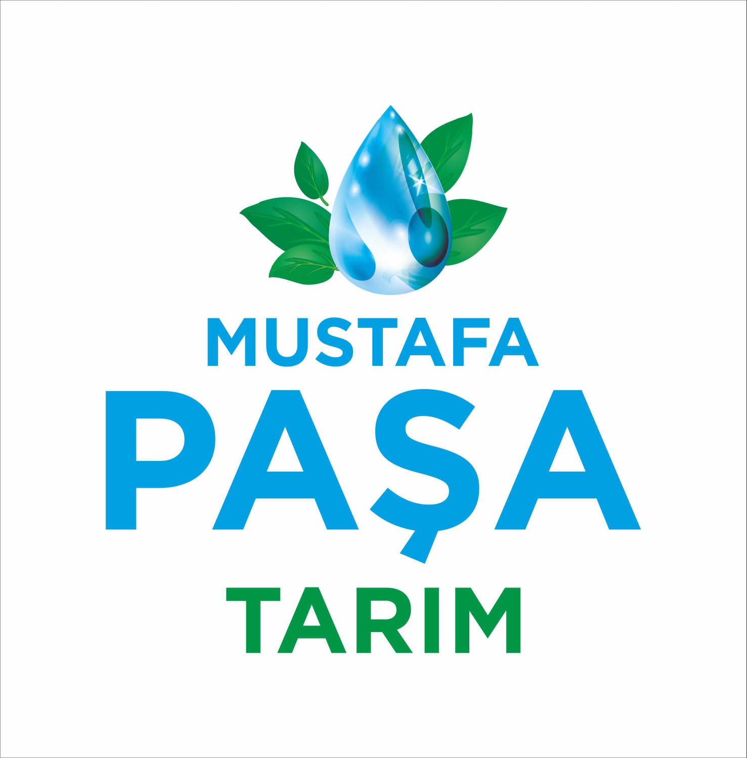 MUSTAFA PAŞA TARIM